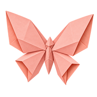 Origami fold for 7 days